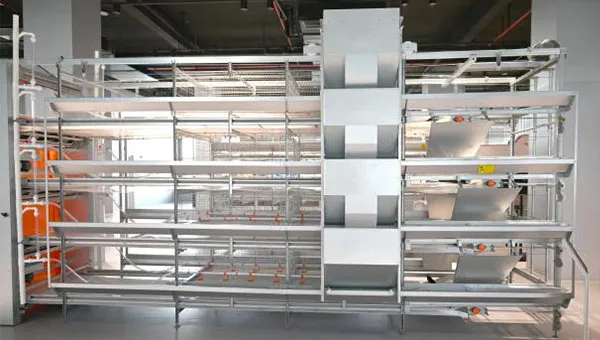 PULLET-CAGE_0000_Pullet-Cage
